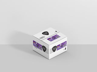 Ube Creaming Soda 4% 375 mL | HARD VODKA CANS